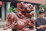 2010-12-20_11-39-27_DSC_4531.jpg