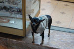 2010-12-21_17-58-14_DSC_4631.jpg