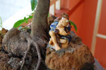 2010-12-22_15-31-38_DSC_4662.jpg