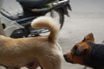 2010-12-22_16-26-29_DSC_4691.jpg