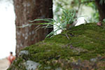 2010-12-23_12-38-42_DSC_4815.jpg