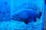 2010-12-28_09-44-36_DSC_5136.jpg