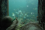 2010-12-28_09-48-47_DSC_5146.jpg