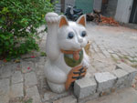 2010-12-31_12-08-41_IMGP5678.jpg