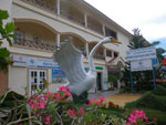 2010-12-31_12-20-17_IMGP5679.jpg