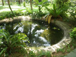 2011-01-01_09-59-43_IMGP5756.jpg