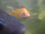 2011-01-02_12-09-47_IMGP5910.jpg