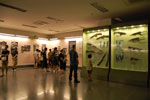 2011-01-04_15-34-37_DSC_5476.jpg