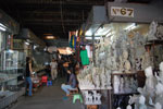 2011-01-10_10-36-39_DSC_5813.jpg