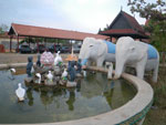 2011-01-11_16-39-43_IMGP6112.jpg