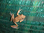 2011-01-13_23-45-02_DSCF6128.jpg