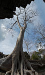 2011-01-14_12-26-26_DSC_6679-pan.jpg