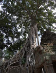 2011-01-14_12-33-22_DSC_6696-pan.jpg