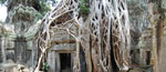 2011-01-14_12-34-01_DSC_6700-pan.jpg