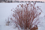 2011-01-22_23-58-17_DSC_6752.jpg