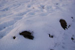 2011-01-23_00-02-16_DSC_6775.jpg