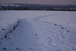 2011-01-23_00-02-29_DSC_6776.jpg