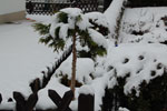 2011-01-23_19-51-41_DSC_6786.jpg