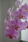 2011-01-24_21-38-05_DSC_6814.jpg