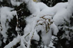 2011-01-24_22-28-22_DSC_6815.jpg