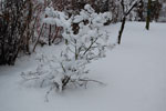 2011-01-24_22-28-37_DSC_6818.jpg