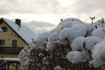 2011-01-26_22-46-44_DSC_6846.jpg
