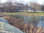 2011-01-29_11-32-44_DSCF3079.jpg