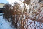 2011-01-31_15-45-28_DSC_6878.jpg