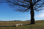 2011-02-07_14-34-12_DSC_6954.jpg