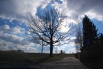 2011-02-08_13-16-27_DSC_6964.jpg