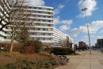 2011-02-08_13-34-38_DSC_6974.jpg
