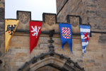 2011-02-19_16-32-59_DSC_7035.jpg