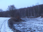 2011-02-23_17-51-40_DSCF3407.jpg