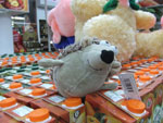 DSCF3738.jpg
