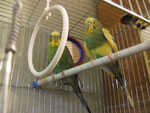 Photos