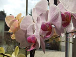 2011-03-30_13-28-40_DSCF4009.jpg