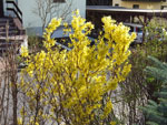 2011-04-03_17-40-37_DSCF4038.jpg