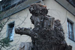 2011-04-05_19-49-09_DSC_7472.jpg