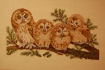 2011-04-05_19-50-40_DSC_7474.jpg