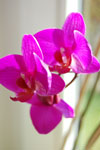 2011-04-07_14-54-45_DSC_7534.jpg