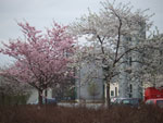 Photos