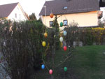 2011-04-08_19-29-41_DSCF4064.jpg