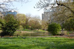 2011-04-09_17-05-16_DSC_7549.jpg