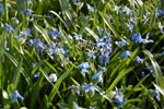 2011-04-09_17-05-30_DSC_7550.jpg