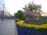 2011-04-19_19-42-56_IMGP0079.jpg