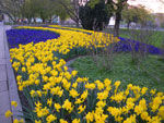 2011-04-19_19-43-30_IMGP0081.jpg