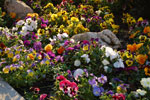 2011-04-22_18-18-44_DSC_7728.jpg