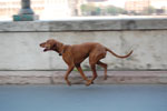 2011-04-22_18-47-54_DSC_7770.jpg