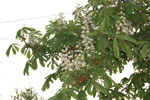 2011-04-22_18-51-04_DSC_7772.jpg