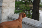 2011-04-23_19-13-55_DSC_7810.jpg